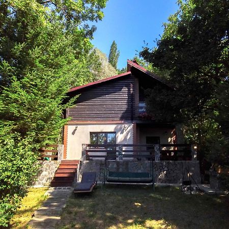 Mountain Family Chalet On Prahova Valley 科马尔尼克 外观 照片