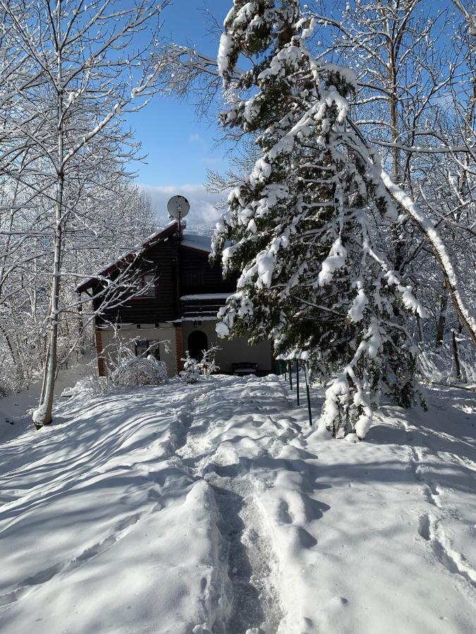 Mountain Family Chalet On Prahova Valley 科马尔尼克 外观 照片