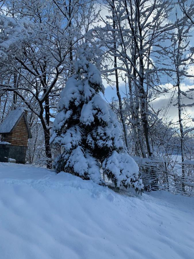 Mountain Family Chalet On Prahova Valley 科马尔尼克 外观 照片