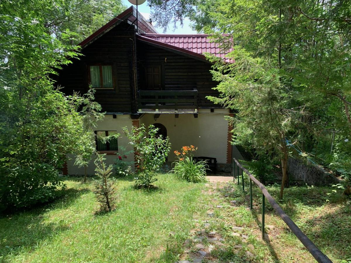 Mountain Family Chalet On Prahova Valley 科马尔尼克 外观 照片