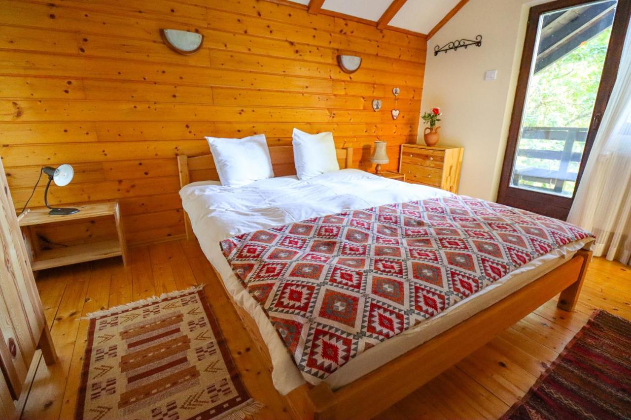 Mountain Family Chalet On Prahova Valley 科马尔尼克 外观 照片