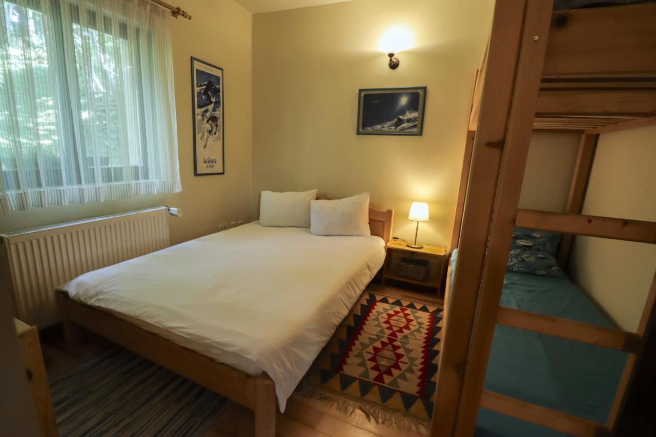 Mountain Family Chalet On Prahova Valley 科马尔尼克 外观 照片
