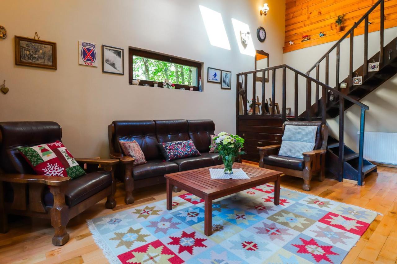 Mountain Family Chalet On Prahova Valley 科马尔尼克 外观 照片
