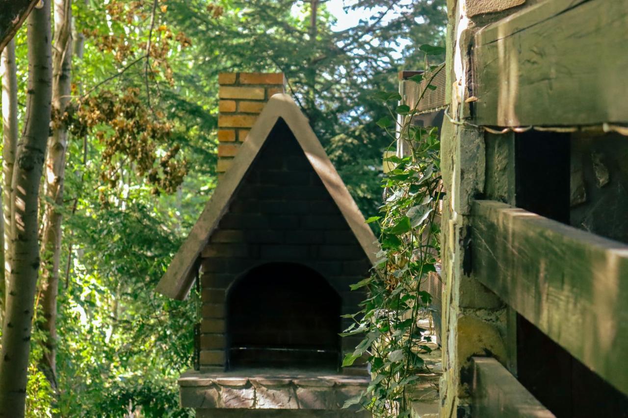 Mountain Family Chalet On Prahova Valley 科马尔尼克 外观 照片
