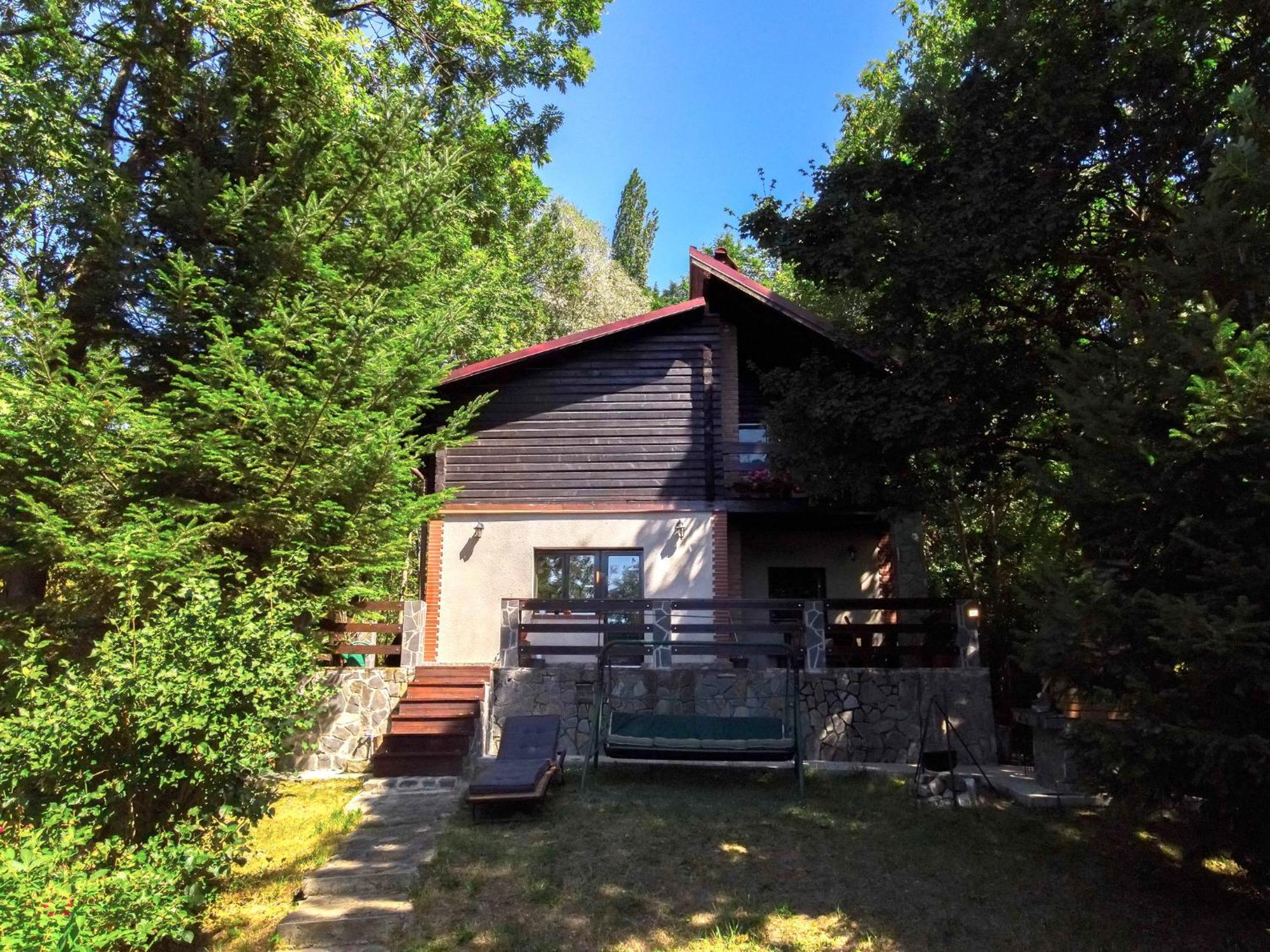 Mountain Family Chalet On Prahova Valley 科马尔尼克 外观 照片