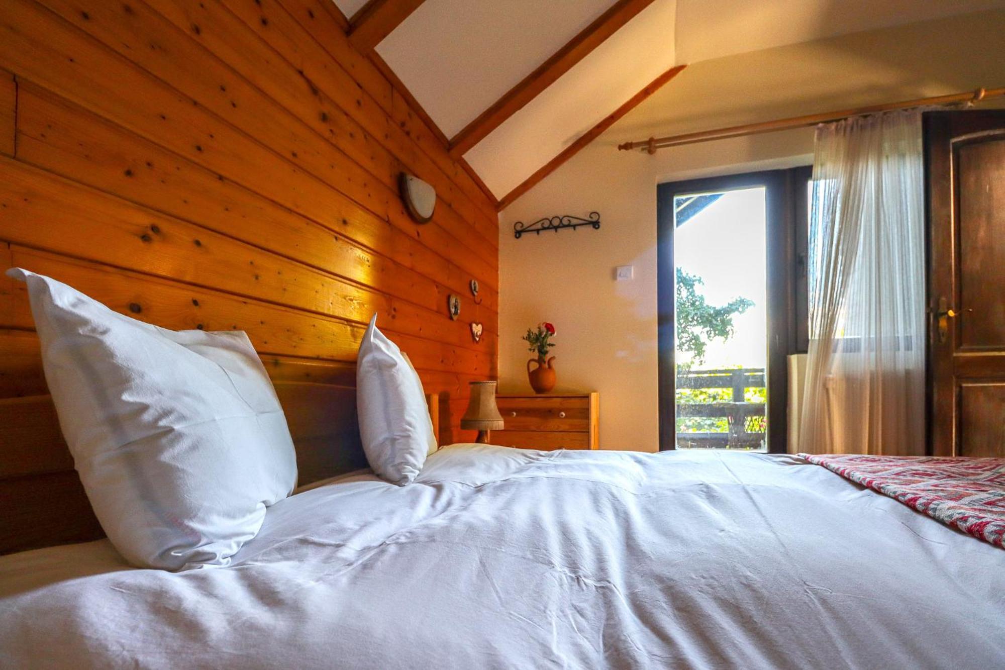 Mountain Family Chalet On Prahova Valley 科马尔尼克 外观 照片