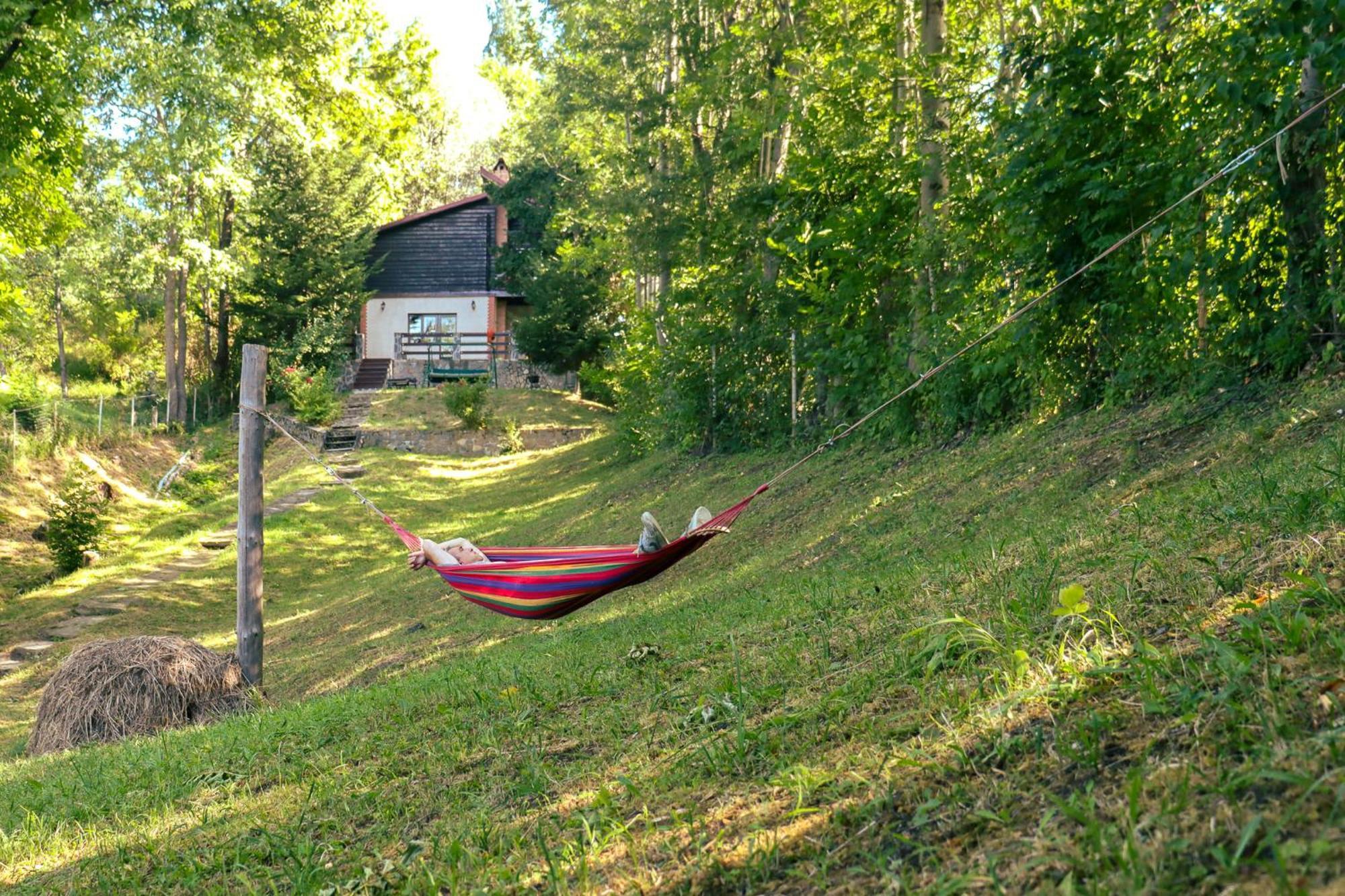 Mountain Family Chalet On Prahova Valley 科马尔尼克 外观 照片